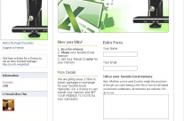 Microsoft Excel Facebook Contest Application